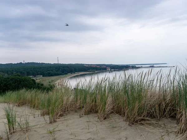 Wooden Yard Sand Dune View Poor Plants Curonian Spit Nida — Stock Photo, Image