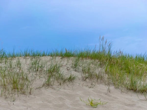 Панорамный Вид Море Вдалеке Дюны Переднем Плане — стоковое фото