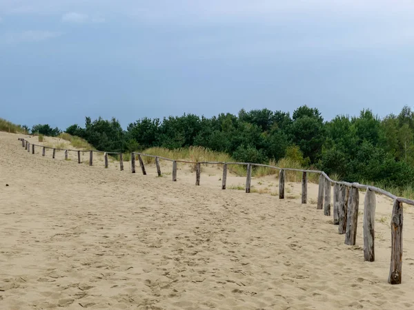 Cour Bois Vue Sur Les Dunes Sable Plantes Pauvres Flèche — Photo