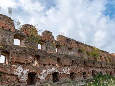 etkileyici kalıntıları, kale 1266 yılında inşa, kırmızı tuğla duvarlar, duvarlarda ağaçlar, Castle Brandenburg, Kaliningrad Oblast, Rusya