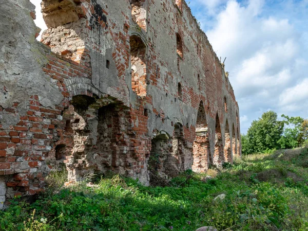 impressive ruins, from the castle built in 1266, red brick walls, trees on the walls,Castle Brandenburg, Kaliningrad Oblast, Russia