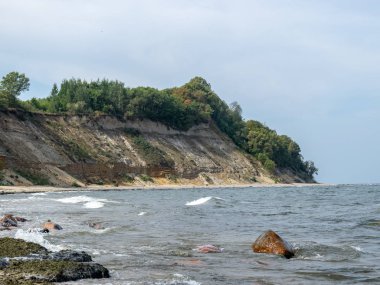 sığ Baltık Denizi kıyısında dik banka, kumtaşı çıkıntıları, Zelenogradsk, Rusya