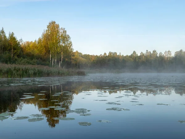 Paisagem Bonita Com Lago Manhã Cedo Nevoeiro Lago Árvores Coloridas — Fotografia de Stock