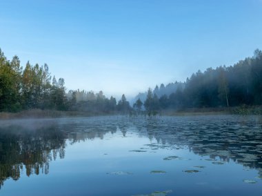 Gölde güzel sabah sisi. Orman, göl, siste. Gizemli sis