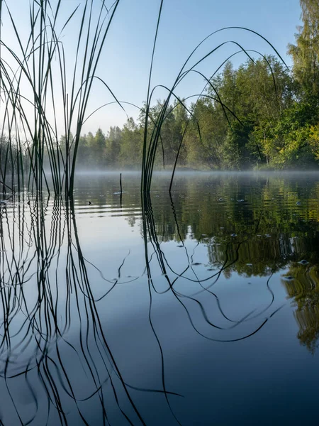 Picture Lake Early Morning Water Fog Abstract Lake Grass Foreground — Stock Photo, Image