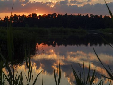 zıt gündoğumu, bulanık, siyah ağaç siluetleri, güneş ışınları, göl parlama, kırmızı gökyüzü ve beyaz güneş ile manzara