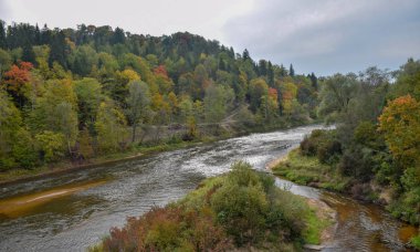 parlak ağaçlar, sonbahar renkleri ile renkli manzara