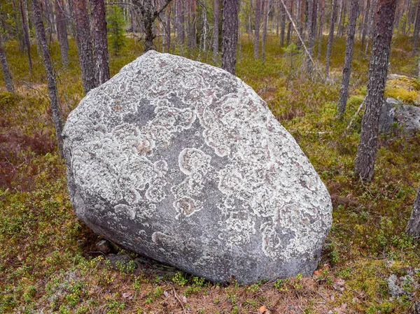 large and beautiful stone, beautiful moss patterns on the stone