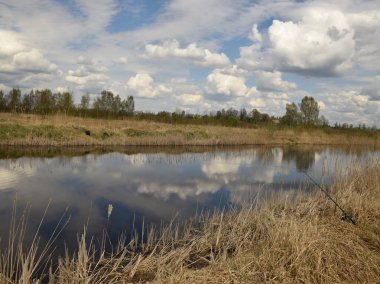 güzel bulut parlama, bir ayna gibi su, çıplak ağaçların bahar siluetleri, ön planda kuru ve eski çim