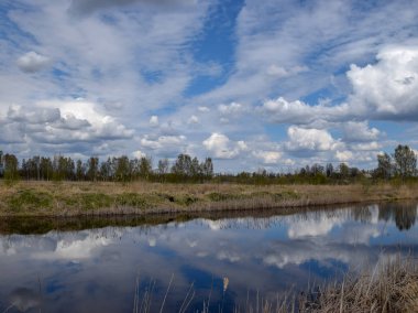 güzel bulut parlama, bir ayna gibi su, çıplak ağaçların bahar siluetleri, ön planda kuru ve eski çim