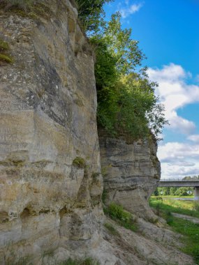 taş kayalar ve ağaç kökleri ve çim arka planlar doku ile dik banka
