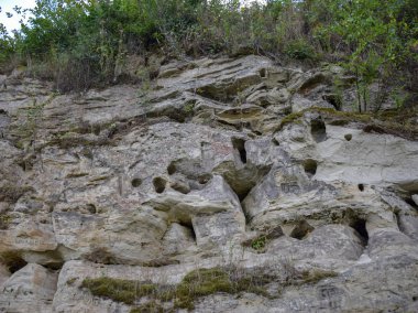 taş kayalar ve ağaç kökleri ve çim arka planlar doku ile dik banka