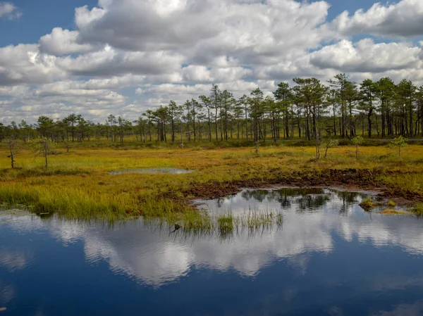 Landscape Beautiful Bog Lakes Sunny Day Lots Clouds Beautiful Glare — Stock Photo, Image