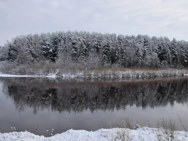 Vista Del Hermoso Día Invierno Del Río Árboles Nevados Muchas — Foto de Stock