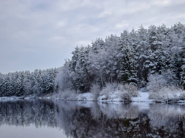 Вид Красиву Річку Зимовий День Снігові Дерева Безліч Хмар Красиві — стокове фото