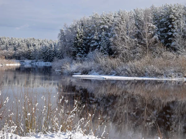 Utsikt Över Vackra Floden Vinterdag Snöiga Träd Många Moln Vackra Royaltyfria Stockbilder