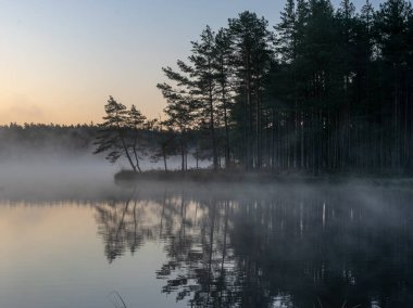 Bataklık manzara , sonbahar sabahı küçük bir orman gölü ve bataklık üzerinde sis ile sabah manzara, don, güzel yansımaları, Driskina gölü, Raiskums bucak, Letonya