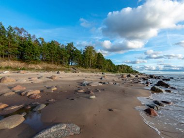 gün batımından önce taş ve ışık çim ile deniz manzarası görüntü, sessiz deniz. baltık denizi, Tuja beatch, Letonya