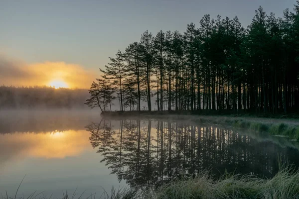 Malerischer Blick Aus Dem Sumpf Morgenlandschaft Mit Nebel Über Einem — Stockfoto