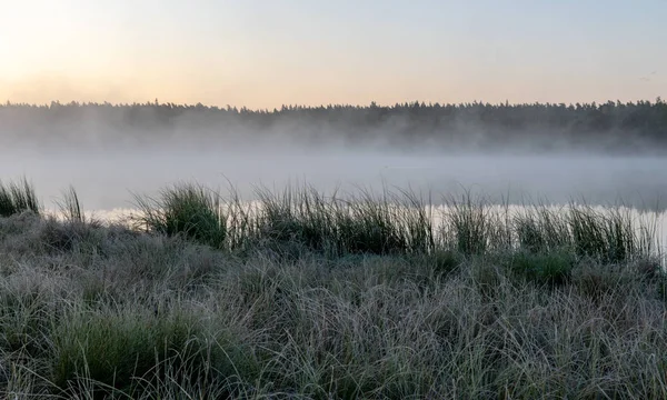 Vue Panoramique Depuis Marais Paysage Matinal Avec Brouillard Sur Petit — Photo