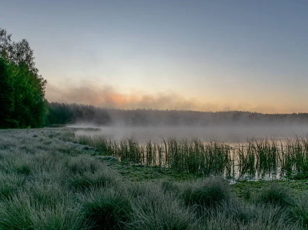 Vue Panoramique Depuis Marais Paysage Matinal Avec Brouillard Sur Petit — Photo