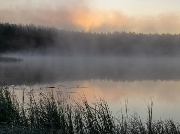 Naturskön Utsikt Från Träsk Morgon Landskap Med Dimma Över Liten — Stockfoto