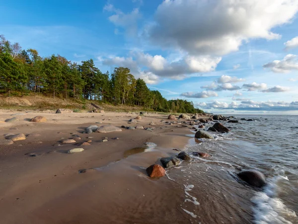 Морський Пейзаж Море Камінням Травою Світла Перед Заходом Сонця Тихим — стокове фото