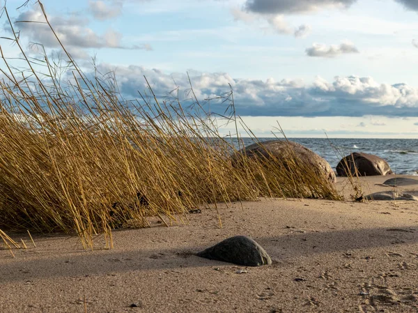 Zeegezicht Afbeelding Van Zee Met Stenen Gras Van Licht Voor — Stockfoto
