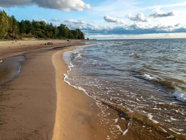 Морський Пейзаж Море Камінням Травою Світла Перед Заходом Сонця Тихим — стокове фото