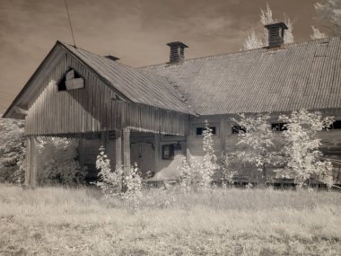gizemli beyaz ağaçlarla çevrili bir görünüm evi ile kızılötesi fotoğraf, özel olarak tasarlanmış kızılötesi kamera ile yapılan bir resim