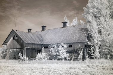 gizemli beyaz ağaçlarla çevrili bir görünüm evi ile kızılötesi fotoğraf, özel olarak tasarlanmış kızılötesi kamera ile yapılan bir resim