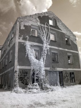 gizemli beyaz ağaçlarla çevrili bir görünüm evi ile kızılötesi fotoğraf, özel olarak tasarlanmış kızılötesi kamera ile yapılan bir resim