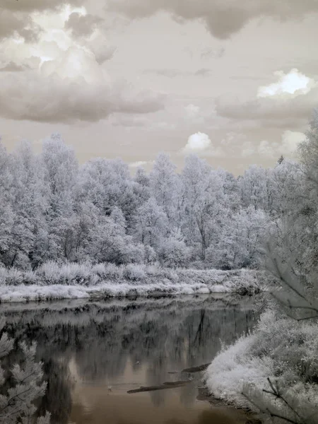 infrared photo of river view and Sietiniezis sandstone cliff, beautiful white trees and wooden footpaths, picture taken with specially adapted infrared camera, Latvia