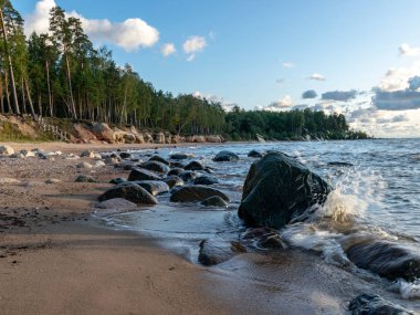 akşam ışık kumtaşı uçurum ile manzara, deniz kıyısı, Veczemju clifts, Letonya