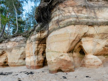 kumtaşı uçurum, ilginç kum yapısı ve oluşumları ile peyzaj, Veczemju clifts, Letonya