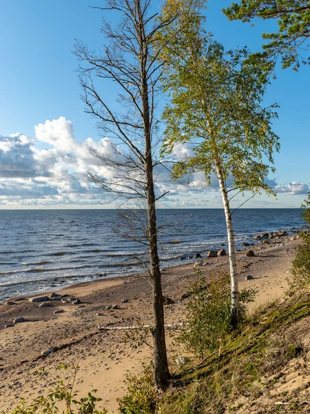 Gyönyörű Balti Tenger Partján Őszi Délután Fehér Felhők Tenger Felett — Stock Fotó