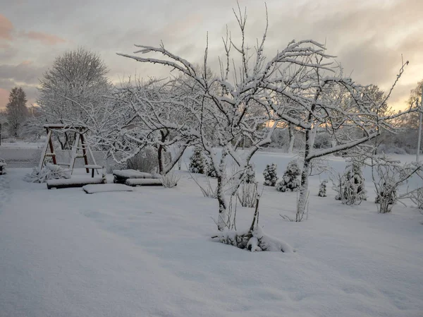 Paysage Hivernal Route Hiver Arbres Enneigés Tôt Matin — Photo