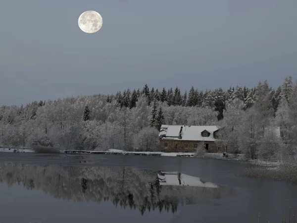 Vinterlandskap Med Snötäckta Träd Vacker Sjö Och Bländning — Stockfoto