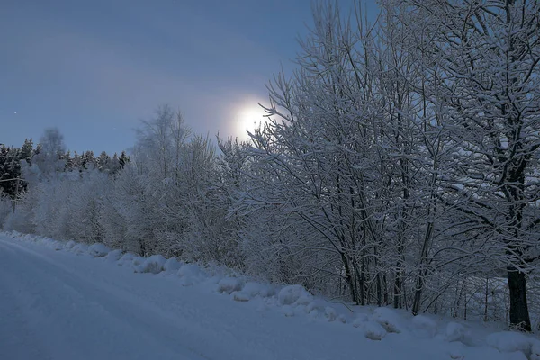Mooie Winter Ochtend Maan Achter Bomen Moonlit Besneeuwde Bomen Kleurrijke — Stockfoto