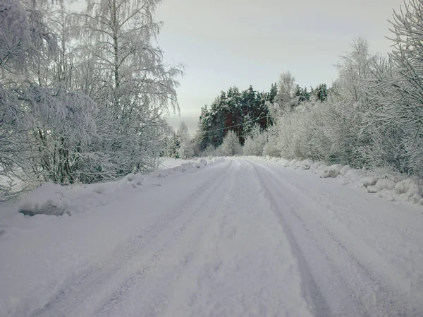 Vinterlandskap Vinterväg Och Snötäckta Träd Tidigt Morgonen — Stockfoto