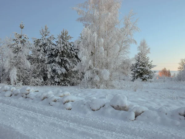 野原の凍った木 夕暮れ 早い冬の朝 美しい色の空 — ストック写真