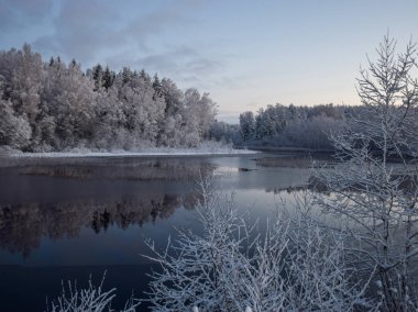 karla kaplı ağaçlar, güzel göl ve parlama ile kış manzara