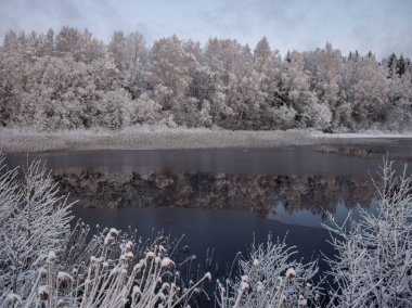 karla kaplı ağaçlar, güzel göl ve parlama ile kış manzara