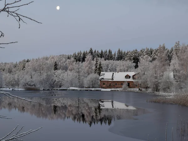 Vinterlandskap Med Snötäckta Träd Vacker Sjö Och Bländning — Stockfoto