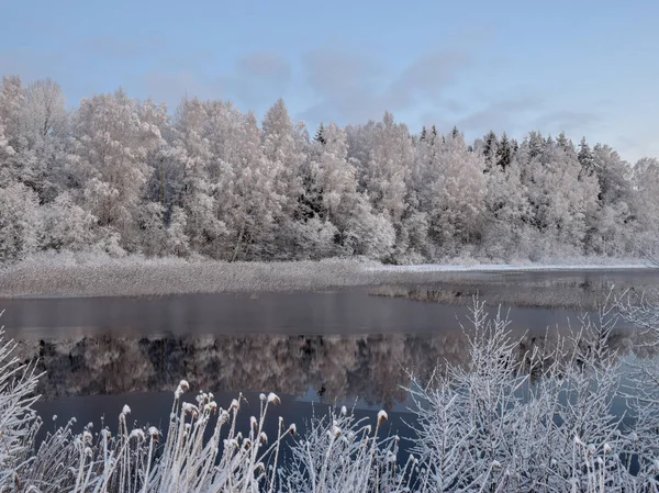 Paisagem Inverno Com Árvores Cobertas Neve Belo Lago Brilho — Fotografia de Stock
