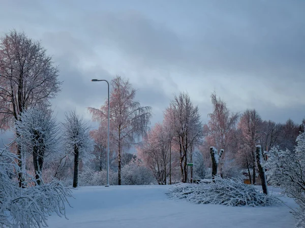 冬の風景 冬の道路と雪に覆われた木々 — ストック写真