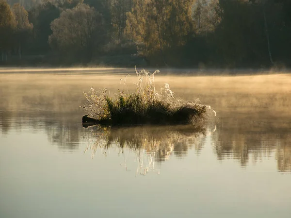 Paysage Avec Des Arbres Aux Couleurs Vives Automne Brouillard Sur — Photo