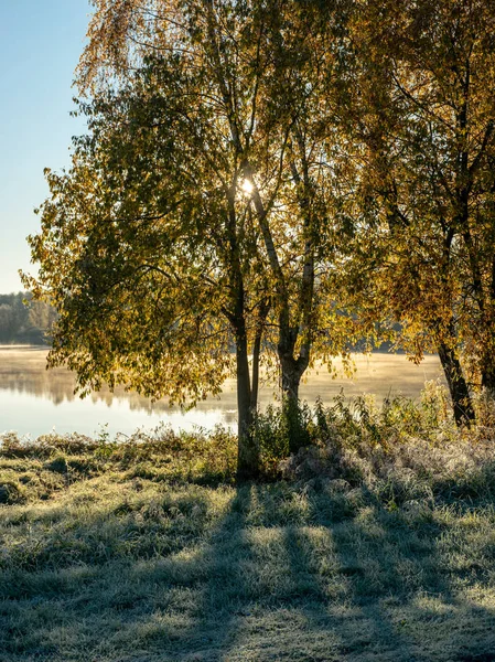 Пейзаж Ярко Окрашенными Осенью Деревьями Туман Над Озером Красивые Отражения — стоковое фото