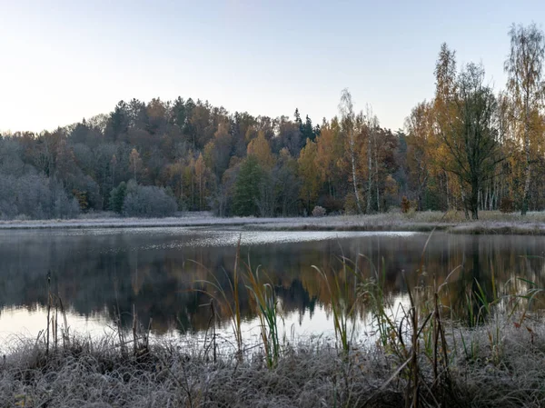 Höstlandskap Med Träsk Tallar Kall Höstmorgon Frost — Stockfoto