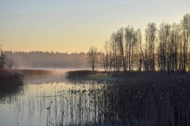 göl kenarında güzel sabah görünümü, ağaçların arasından güneş ışığı, gölün güzel yansımaları